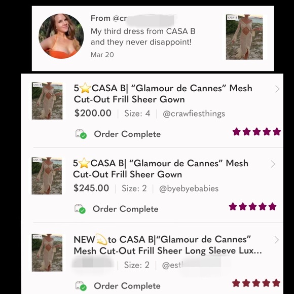 5⭐️CASA B| “Glamour de Cannes” Mesh Cut-Out Frill Sheer Gown - Picture 15 of 17